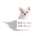DOGPICT.JPG (10748 oCg)